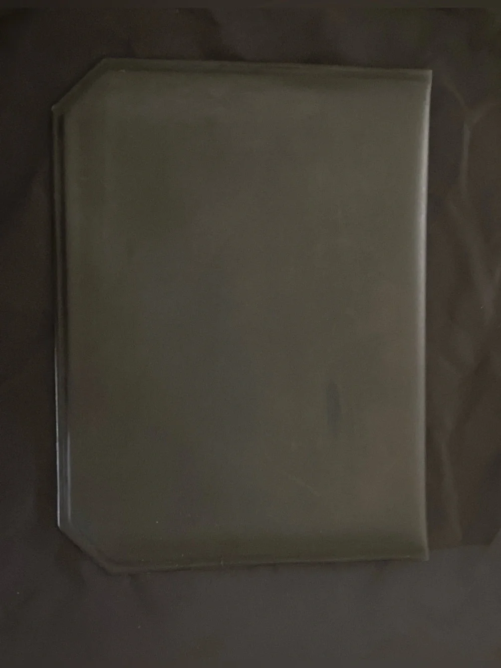 Louis Vuitton silicone snap pouch Portfolio Authentic Collector’s item